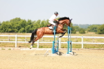 SBM_000730