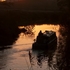 Evening Voyage