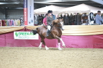 SBM_08928