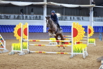 SBM_001883