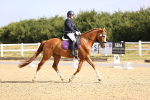 SBM_008597