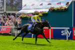 260725-Race 3-Royal Champion-0467