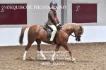 BPP_0273