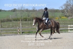 BPP_3289