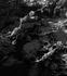 Frozen Lichen 2 BW on a Winter river, Eryri National Park [Snowdonia