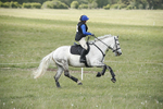BVHT 140517  NXC -526