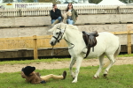SBM_69935