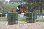BPP_3795
