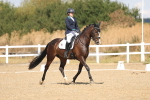 SBM_009020
