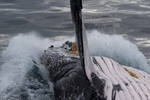 0A3A6973. 40 tonne splash 1