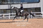 BPP_6287