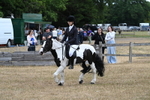 WJ7_7864
