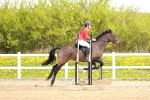 SBM_003676