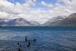 LAKE WAKATIPU, QUEENSTOWN