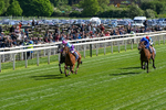 Race 4 3.30pm Al Basti Equiworld Dubai Middleton Fillies' Stakes portfolio