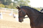 SBM_016861