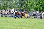 SBM_17381