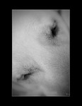Close Up portfolio