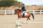SBM_009926