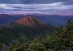 Bodcliff Alpenglow