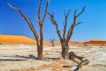 NAM_01_179