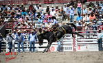 3HRodeo_CFD_JUL_18_2026_04044