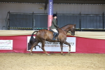 SBM_12738