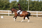 SBM_012797