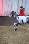 SBM_003907