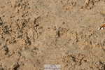 251004A-134207-01323