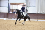 SBM_000224