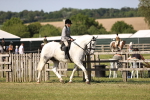 SBM_19603