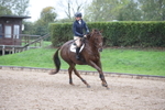 Combined Training portfolio