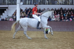 SBM_003327