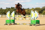 SBM_007703