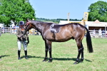 SBM_18235