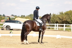 SBM_004208