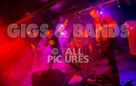 Speakeasy-26
