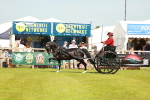 Class 2-4 - HOYS Private Driving portfolio