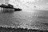 From the Beach