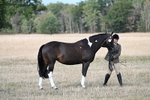 WJ7_8274