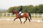 SBM_009305