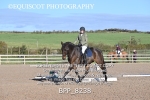 BPP_8238