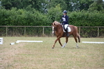 WJ6_0715