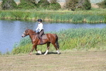 WJ7_3655