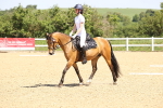 SBM_008534
