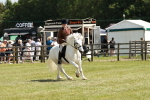 SBM_07091
