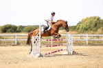 SBM_000960
