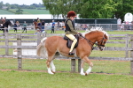 SBM_08540