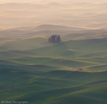 Misty Palouse